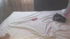Capture at 2025-10-15 20:16:13