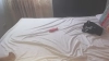 Capture at 2025-10-15 20:20:09