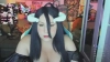 Capture at 2025-10-15 03:14:31