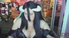 Capture at 2025-10-15 03:47:05