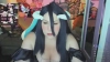 Capture at 2025-10-15 04:02:46