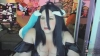 Capture at 2025-10-15 04:10:46