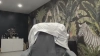 Capture at 2025-10-11 08:56:31
