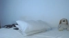 Capture at 2025-10-15 16:03:22