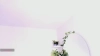 Capture at 2025-10-14 16:15:50