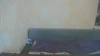 Capture at 2025-10-15 17:03:17