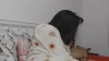 Capture at 2025-10-14 20:29:47