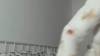 Capture at 2025-10-14 22:24:48