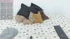 Capture at 2025-10-11 05:10:09