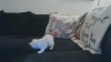 Capture at 2025-10-15 07:21:34