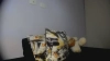 Capture at 2025-10-16 02:43:36