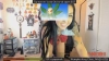 Cynpai @Cynpai webcam capture — Slim/Petite, Brown hair, Brown eyes, Hispanic, 32 yrs, Bi-curious — tags: skinny, big tits, deepthroat, masturbation, sexy, tease, cosplay, tattoos, creampie, nice tits, nice ass, squirt, facial, feet, submissive, latina, funny, roleplay, rave, spit play, gag, MILF, fun, sexy, loving, slave, sub, bisexual, cute, lush, latina, smart