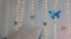 Capture at 2025-10-15 11:14:44