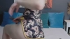DashaFlame @DashaFlame webcam capture — Slim/Petite, Black hair, Brown eyes, Caucasian, Straight — tags: natural, new, skinny, feet, smalltits, brunette, fit, lingerie, good english, naughty, tease, flirt, toys, tattoo, private, c2c, fingering, blowjob, handjob, oil, doggy, nipple play, dildo play, cum, squirt, orgasm, masturbation, roleplay, joi, sph, cock rating, smoke