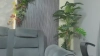 Denise_babe_ @Denise_babe_ webcam capture — Average, Red hair, Gray eyes, Hispanic, 29 yrs, Bisexual — tags: atm, saliva, anal, deepthroat, natural, squirt, new model, toys, nice ass, masturbation, fingering, cum, doublepenetration, small tits, shaved, hot ass, colombia, vibrator, pretty face, cam2cam, tattoos, role play, smile, bdsm, blowjob, dirty talk, doggy style, pussy play, c2c, anal play, twerking, dildo