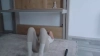DiddySweet @DiddySweet webcam capture — Slim/Petite, Platinum Blonde hair, Brown eyes, Caucasian, 23 yrs, Straight — tags: sexy, young, cute, hot, smart, oil show, anal, funny, hard sex, tight pussy, toys, wet, friendly, c2c, cum, blonde, dildo, natural tits, tattoos, fit, blowjob, squirt, double penetration, long hair, big ass, student, naughty, natural, ass, erotic private show, petite, true private