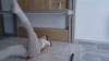 DiddySweet @DiddySweet webcam capture — Slim/Petite, Platinum Blonde hair, Brown eyes, Caucasian, 23 yrs, Straight — tags: sexy, young, cute, hot, smart, oil show, anal, funny, hard sex, tight pussy, toys, wet, friendly, c2c, cum, blonde, dildo, natural tits, tattoos, fit, blowjob, squirt, double penetration, long hair, big ass, student, naughty, natural, ass, erotic private show, petite, true private