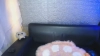 Capture at 2025-10-12 07:17:06