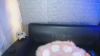 Capture at 2025-10-12 07:21:09