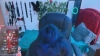 Capture at 2025-10-15 05:39:07