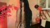 Elith_noa @Elith_noa webcam capture — Average, Black hair, Other, 19 yrs, Bisexual — tags: natural, latina, colombiana, big boobs, dildo, erotic, smile, exotic, role play, sexy legs, squirting, real orgasm, young, hot, cam2cam, vibrator, ebony, piercings, wet, New model, toys, long hairy, curly, spank, sexy lingerie, brunette, good music, Dance, private shows, artistic, stockings, slave
