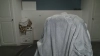 Capture at 2025-10-14 13:36:26