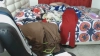 Capture at 2025-10-25 03:47:35