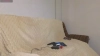 Capture at 2025-10-14 16:21:32