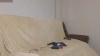 Capture at 2025-10-14 16:26:50