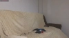 Capture at 2025-10-14 16:41:35