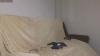 Capture at 2025-10-14 16:45:38