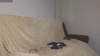 Capture at 2025-10-14 16:46:42