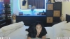 EndlesssJoy @EndlesssJoy webcam capture — Slim/Petite, Black hair, Brown eyes, Caucasian, 33 yrs, Straight — tags: Natural, Friendly, Toys, Sweet, New, Lovense Hyphy, Lovense Dolce, Lovense Lush, Fuck Machine, Smoking, Skype Show, Dance, Brunette, Private, Flirty, Crazy, Curvy, Big Tits, Roleplay, Strapon, Long Hair, Open Minded, Big Ass, Pretty Face, brown eyes, European, Seductive, Tattoed, Striptease, Dominant, Submissive, Tan