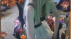 Capture at 2025-10-15 04:37:44
