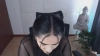 Capture at 2025-10-11 19:10:34