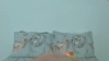 Capture at 2025-10-14 17:10:41