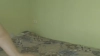 GalinatheBest @GalinatheBest webcam capture — Slim/Petite, Blonde hair, Green eyes, Caucasian, 36 yrs, Straight — tags: sexy, blondy, green eyes, toys, anal, vaginal, blowjob, funny, hot, shy, dancer, sensual, erotic, tender, sensual, psychologist, smile, wet, natural tits, kinky, playful, nurse, police officer, lingerie, milf, deep throat, fingerring, juicytits, wet tit