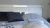 Capture at 2025-10-22 10:35:27