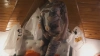 Capture at 2025-10-15 02:31:24