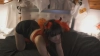Gigifantasies @Gigifantasies webcam capture — Average, Black hair, Hazel eyes, Hispanic, 22 yrs, Bisexual — tags: NewModel, MFC, Topless, Naked, Tease, C2C cam to cam, Lovense, Interactive, BigBoobs, NaturalBoobs, Curvy, SexyBody, AssPlay, BootyLover, Petite, Hourglass, Bratty, Naughty, SluttyCute, BadGirl, GoodGirlGoneBad, Playful, Flirty, Spicy, Goddess, MysteryGirl, Seductress, Ethereal, Elegant, Classy, Charming, Enchanting