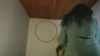 Capture at 2025-10-14 06:51:17