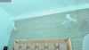 Capture at 2025-10-15 02:29:06