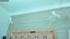 Capture at 2025-10-15 02:32:51