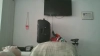 Capture at 2025-10-15 18:11:53