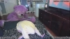 Capture at 2025-10-16 01:05:39