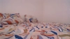 Capture at 2025-10-15 06:06:37