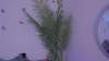 Capture at 2025-10-15 04:10:27