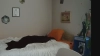 JaneMantis @JaneMantis webcam capture — Average, Brown hair, Hazel eyes, Caucasian, 30 yrs, Bisexual — tags: girlfriend experience, DD, findom, pawg, playful, pegging, c2c, natural, gfe, naughty, cuckold, kinky, bdsm, tease, brat, mommydommy, humilation, tattoos, dimples, exotic, cuck, girlnextdoor, new, mommy, girlnextdoor, homewrecker, big tits, switch, strapon, bitch, femdom, crazy