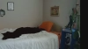 JaneMantis @JaneMantis webcam capture — Average, Brown hair, Hazel eyes, Caucasian, 30 yrs, Bisexual — tags: girlfriend experience, DD, findom, pawg, playful, pegging, c2c, natural, gfe, naughty, cuckold, kinky, bdsm, tease, brat, mommydommy, humilation, tattoos, dimples, exotic, cuck, girlnextdoor, new, mommy, girlnextdoor, homewrecker, big tits, switch, strapon, bitch, femdom, crazy