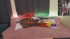 Capture at 2025-10-15 17:43:25